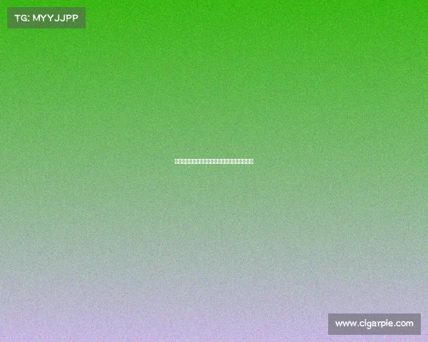 英超官方公告：全新赛季规则与赛事安排更新详情