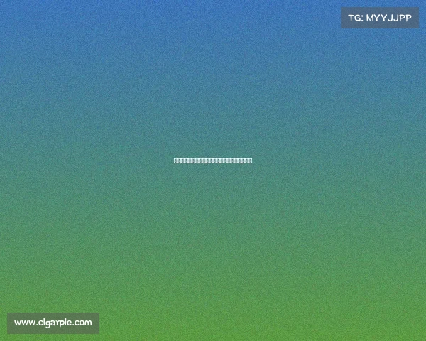 英超官方公告：全新赛季规则与赛事安排更新详情