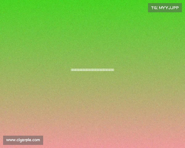 足球中场核心转会市场风云新动向深度解析及未来发展趋势展望