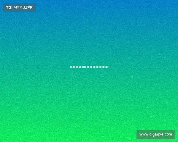 法甲新赛季即将开幕 各队备战进入冲刺阶段球迷热情高涨