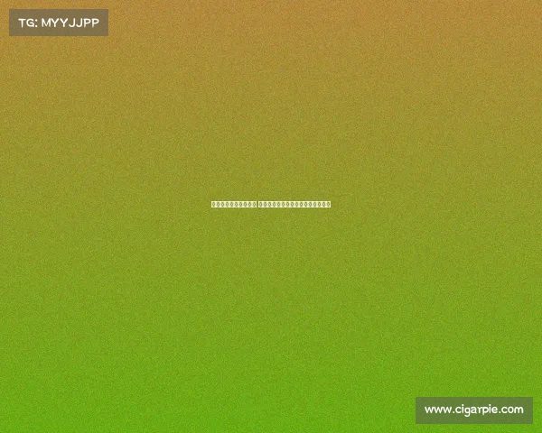 网球赛场观众热情高涨 专注赛事激烈对决共同见证精彩瞬间