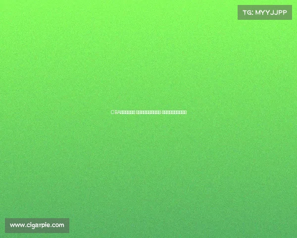 CBA赛季激战正酣 热血对决引爆球迷热情 新旧强队争锋谁能称霸