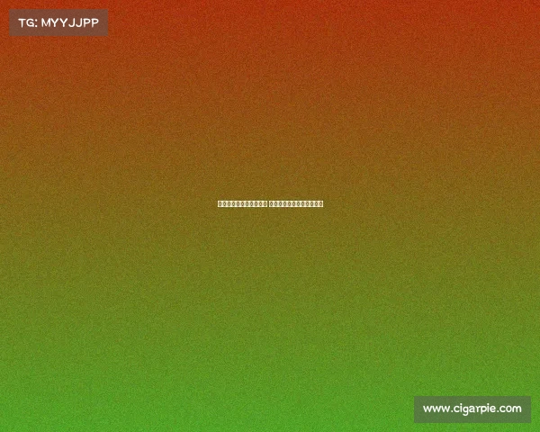 蓝军领跑多纳鲁马争夺战 曼市双雄皇马拜仁也在关注