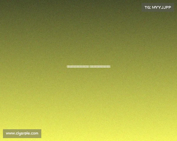 齐沃:尽管球员展现了斗志和渴望 但备战时间有限影响了比赛表现