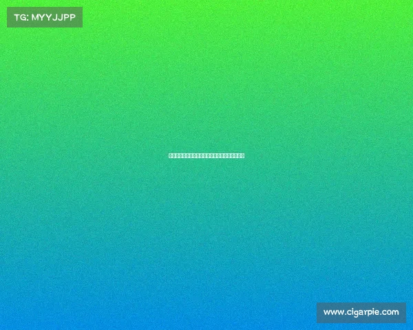 英超官方公告：全新赛季规则与赛事安排更新详情