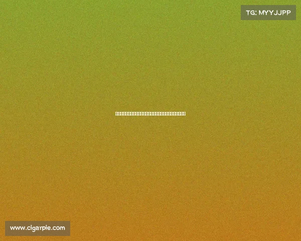 足球中场核心转会市场风云新动向深度解析及未来发展趋势展望