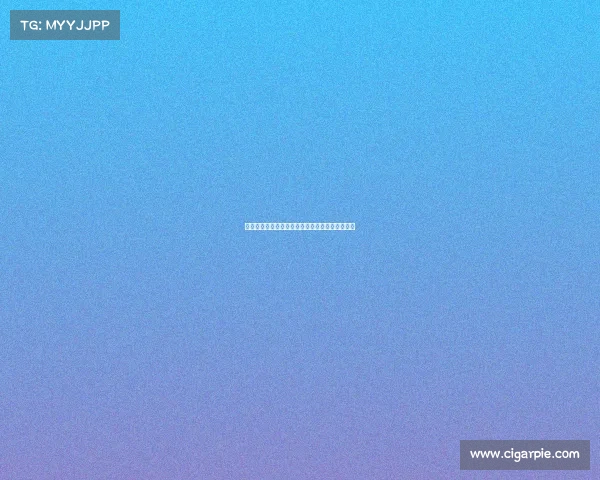 足球俱乐部引援资金使用策略与效益分析对比研究