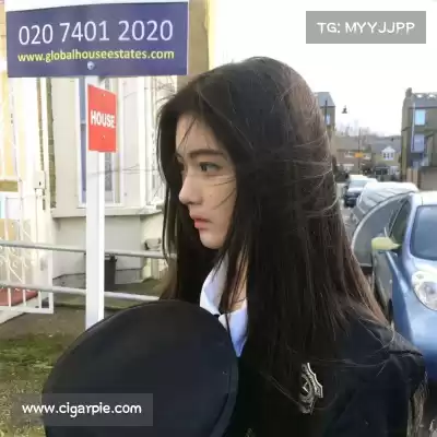 舒舜飚